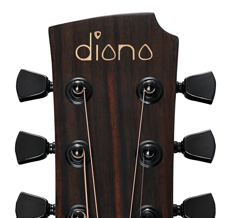 diana guitar head