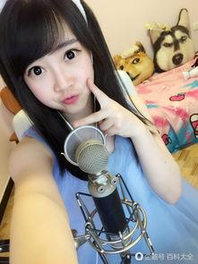 熊猫女主播资料,网络红人的魅力与影响力揭秘